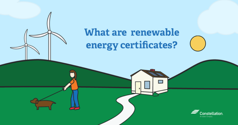 Renewable Energy Certificates Vs Carbon Credits