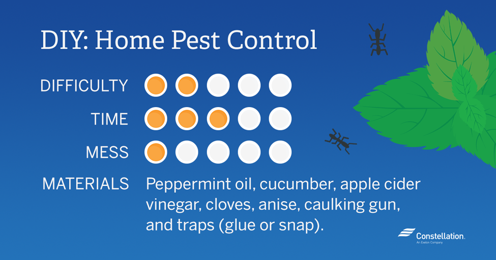 DIY Home Pest Control