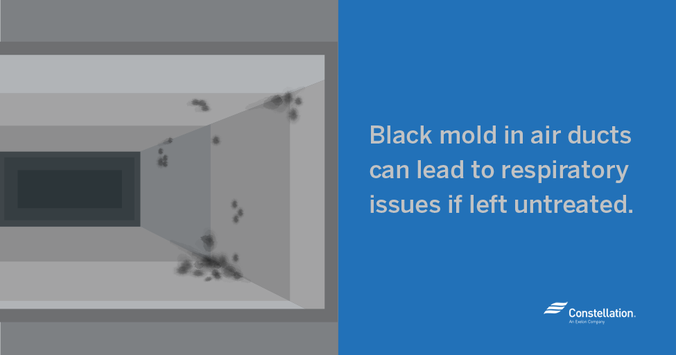 Black Mold in Air Ducts