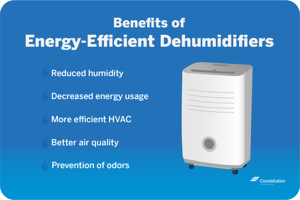 Choosing Energy-Efficient Dehumidifiers | Constellation