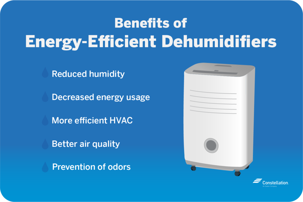 Why You Should Invest In A Dehumidifier This Summer