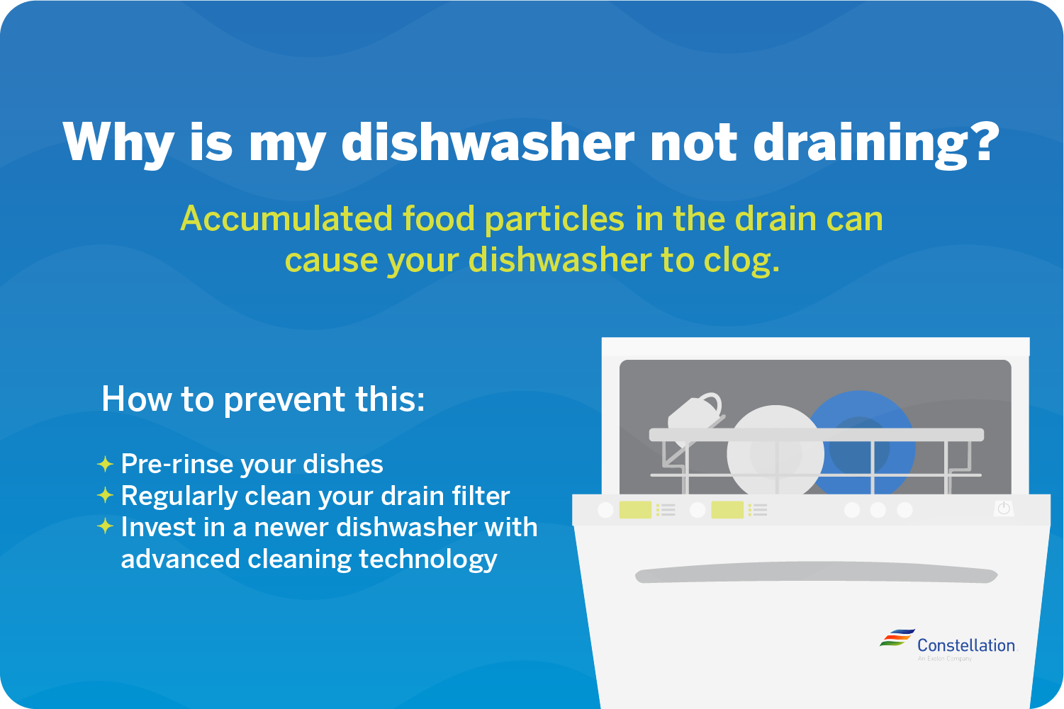 why-is-my dishwasher not draining