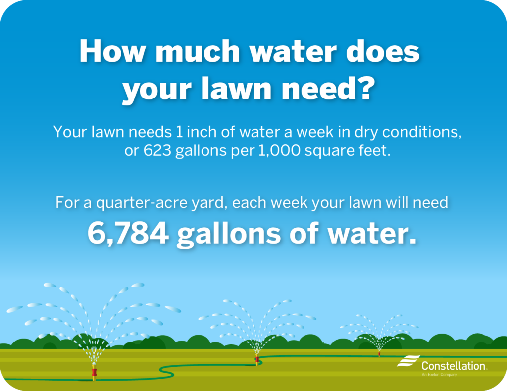 How to Reduce Your Home’s Water Use in Summer Constellation