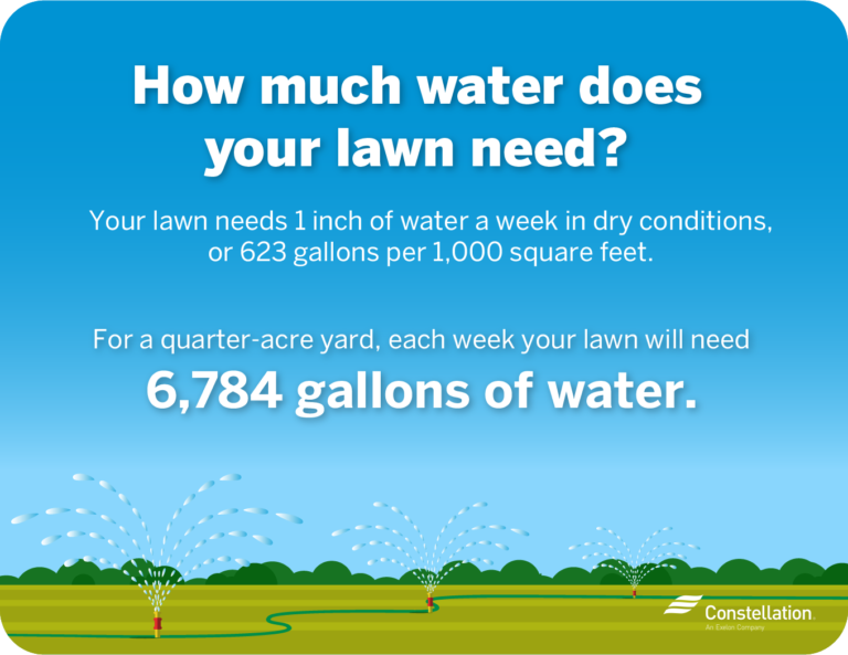 How to Reduce Your Home’s Water Use in Summer Constellation