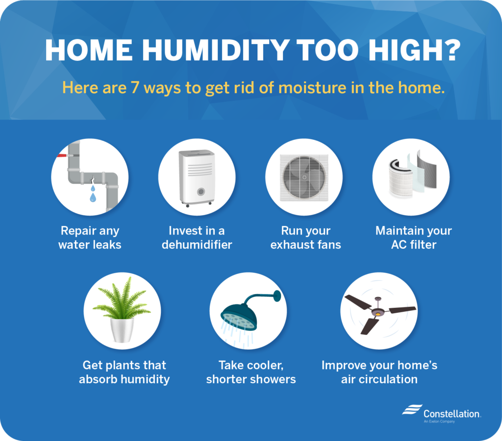 How to Lower Humidity in Your House Constellation