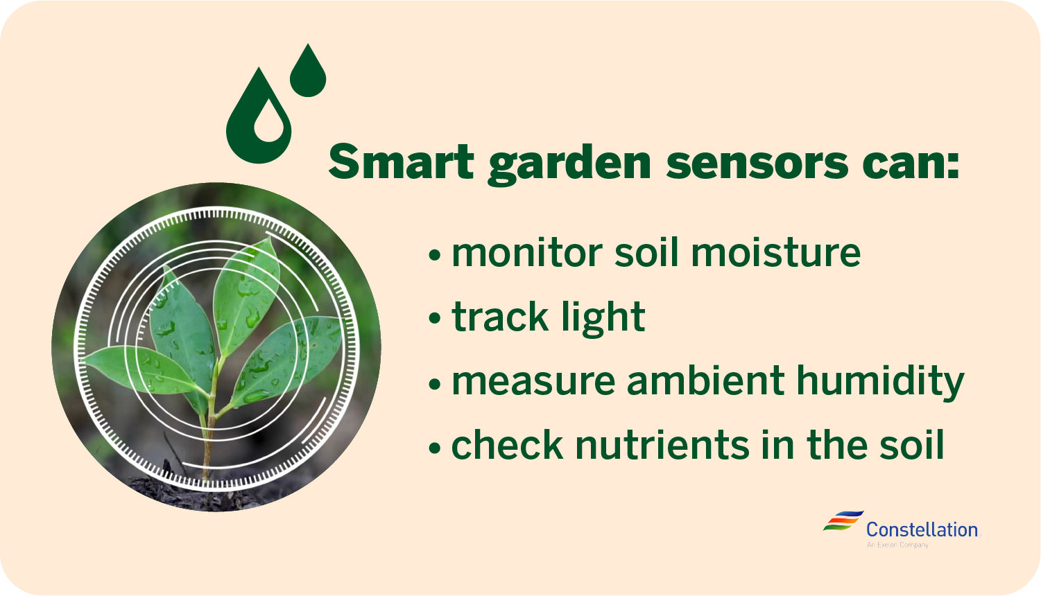 What smart garden sensors can do