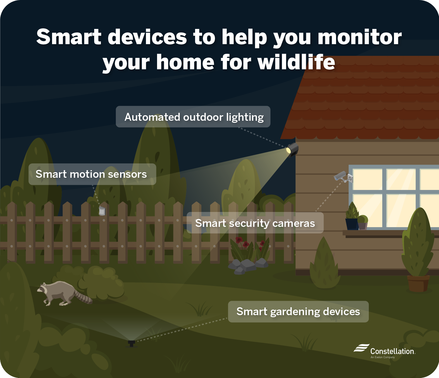 Smart devices to help you monitor your home for wildlife