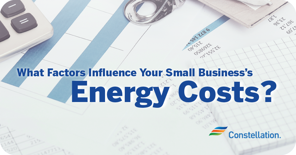 What factors influence your small businesses energy costs?