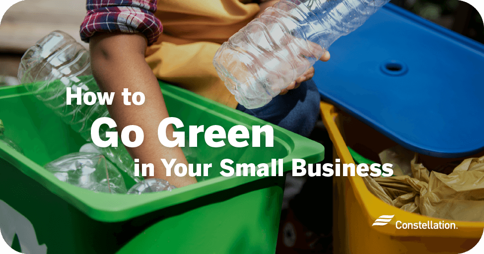 How to go green in your small business.