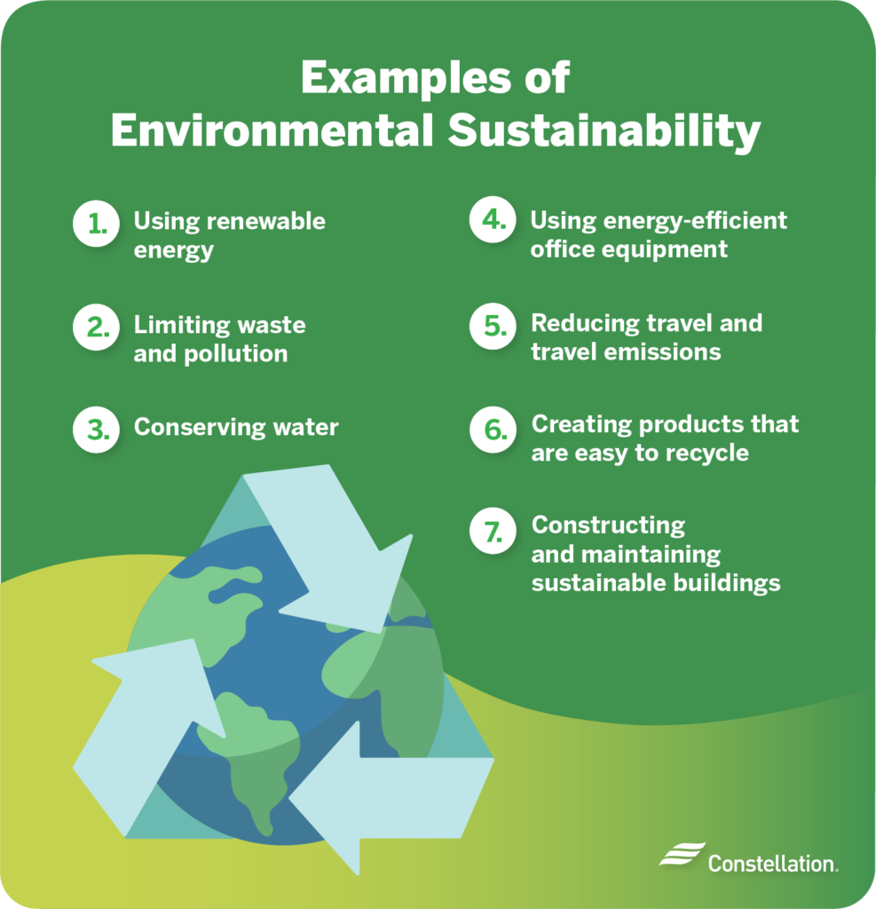 environmental sustainability essay titles