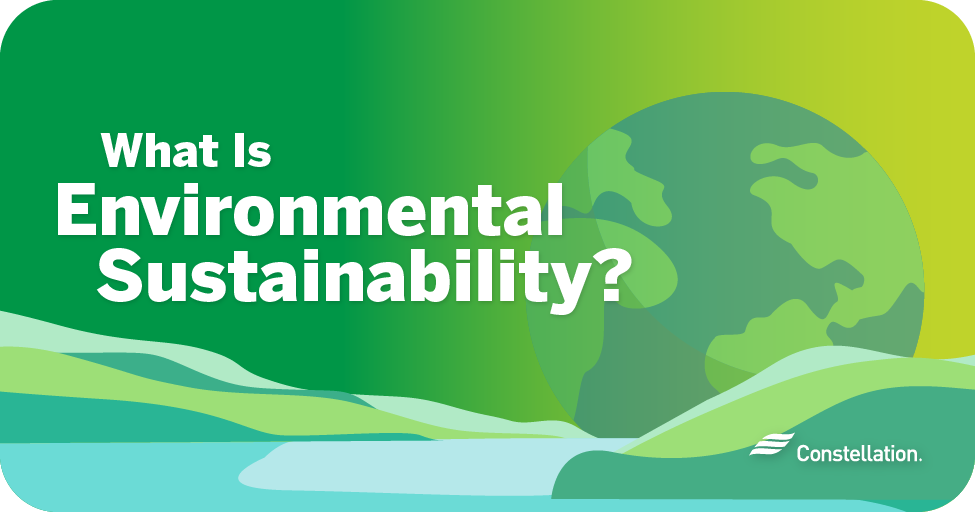 What is environmental sustainability?