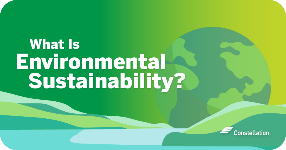 what-is-environmental-sustainability-constellation