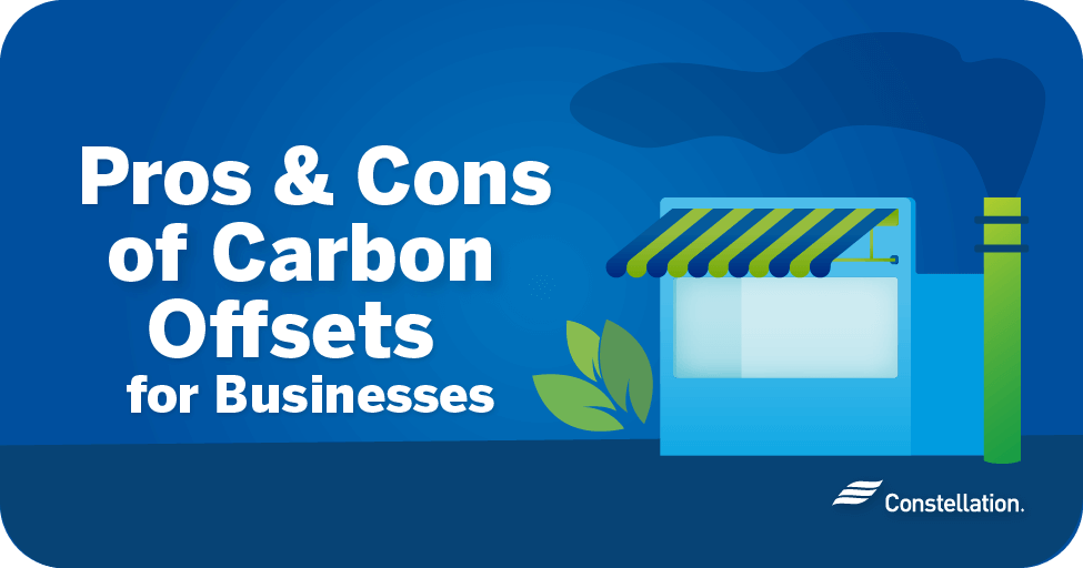 Pros and cons of carbon offsets for businesses.