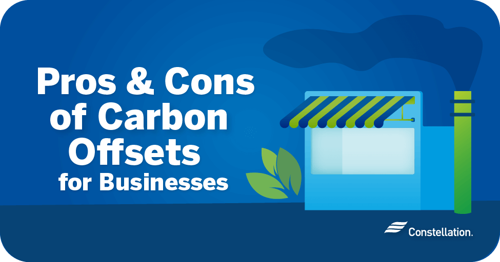 Pros and Cons of Carbon Offsets for Businesses Constellation