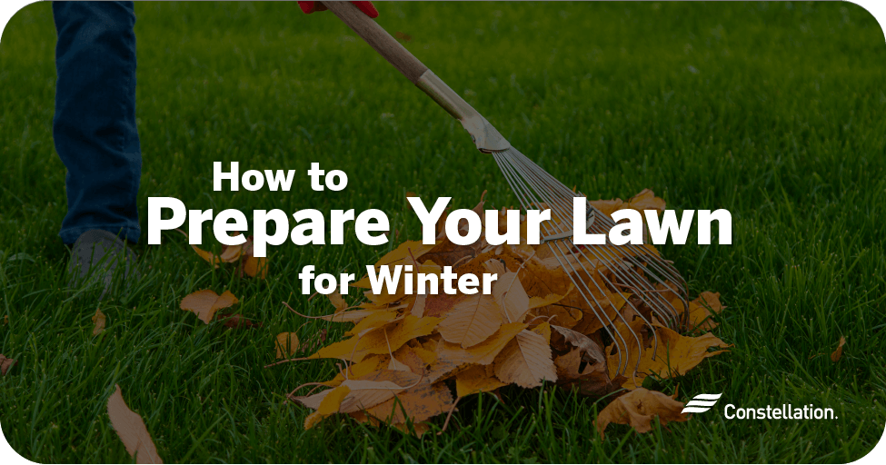 7 Steps to Prepare Your Lawn for Winter Constellation