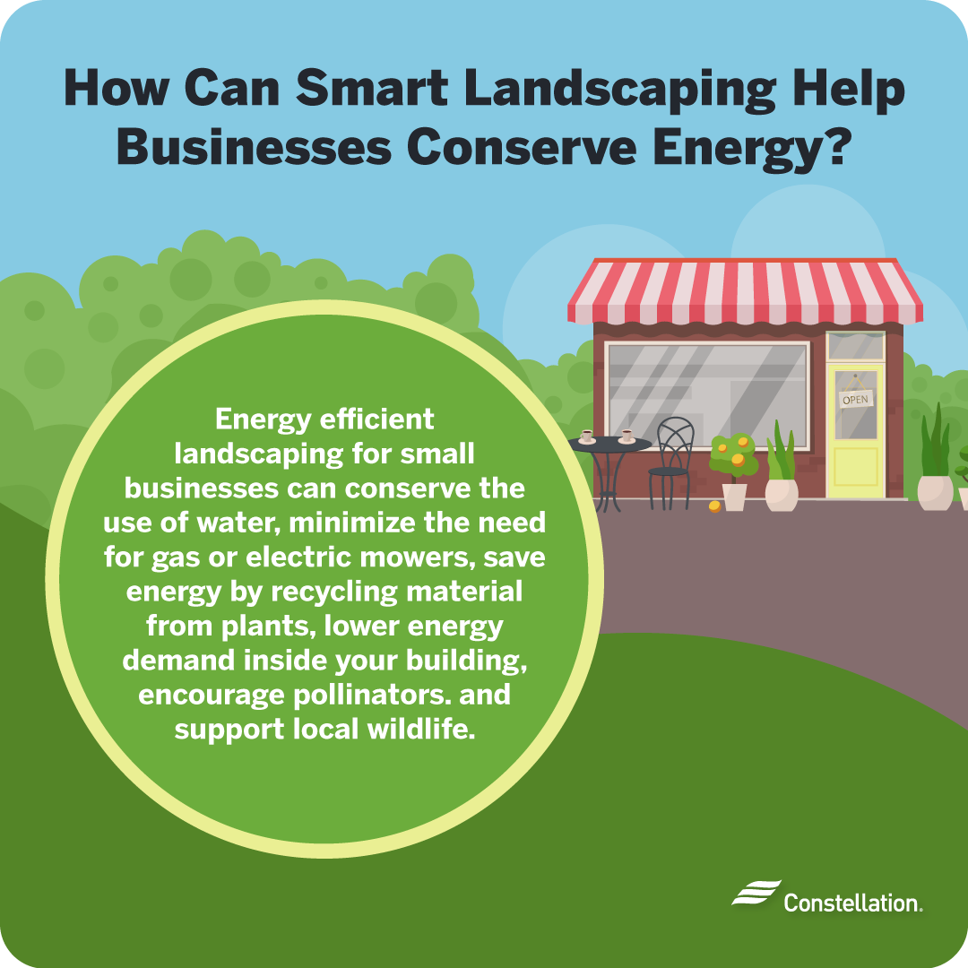 What is smart landscaping and how can it help businesses conserve energy?