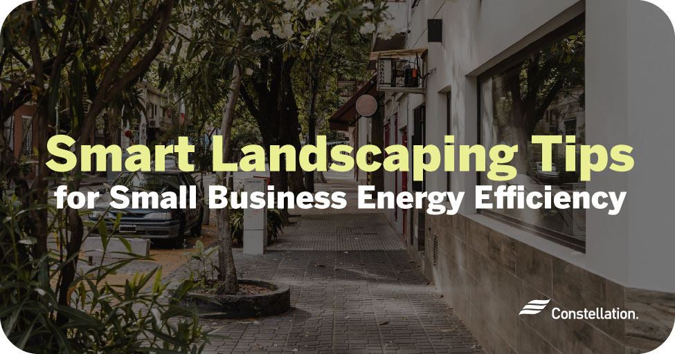 Smart landscaping tips for small business’s energy efficiency.