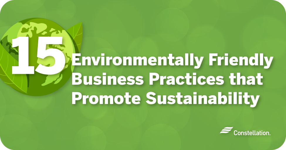 Environmentally sustainable business practices.