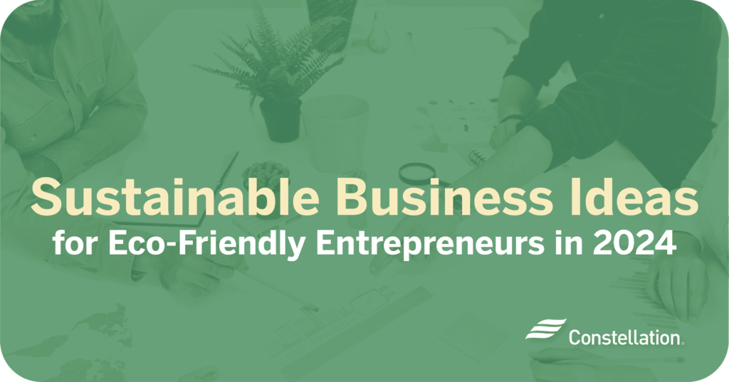 Sustainable business ideas for eco-friendly entrepreneurs.