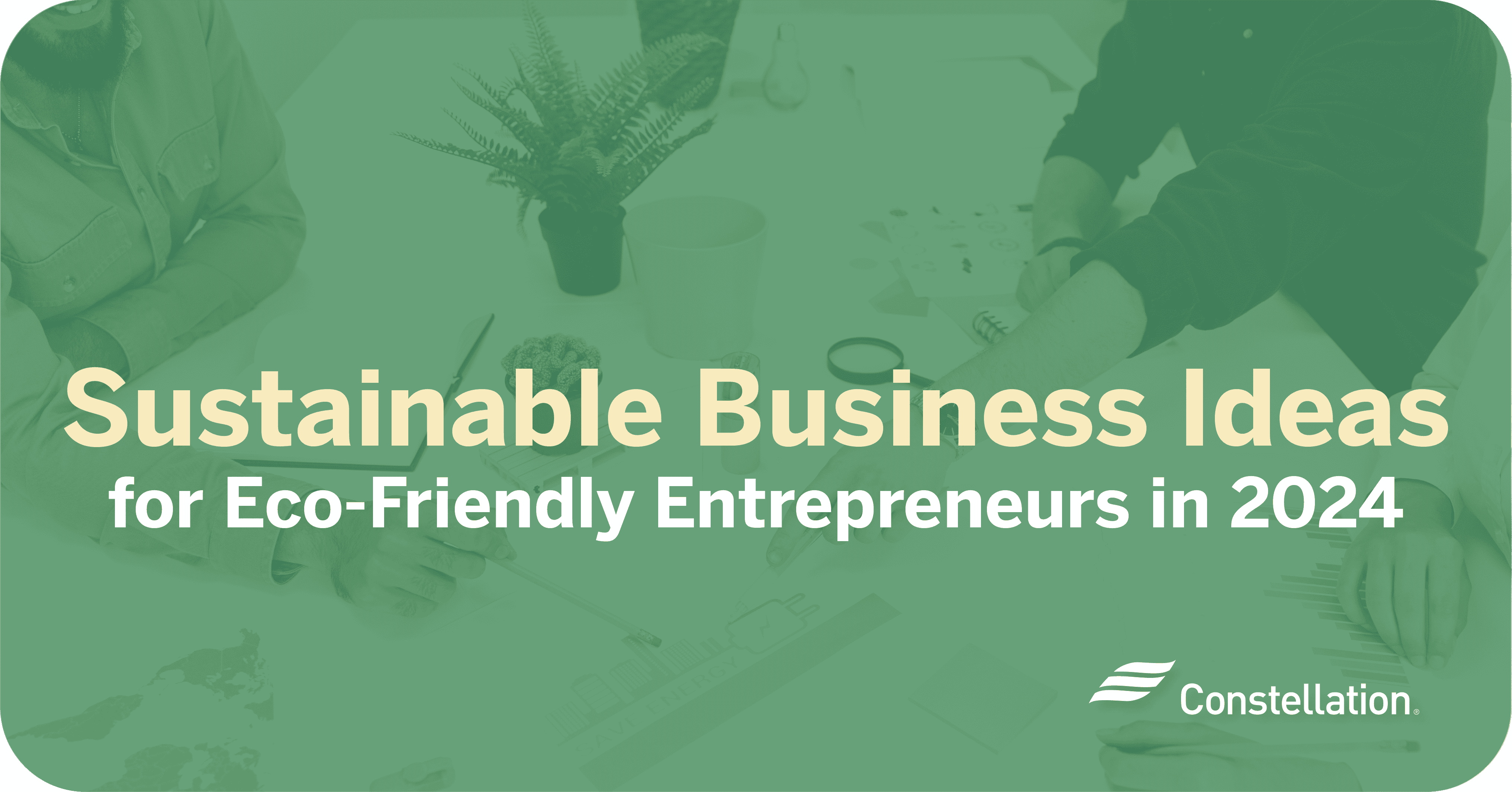 Sustainable business ideas for eco-friendly entrepreneurs.