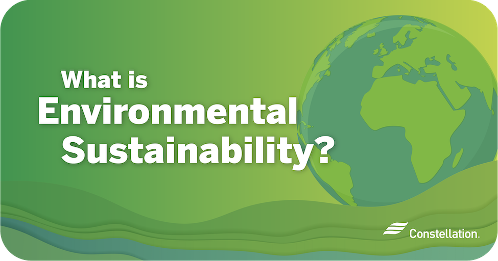 What is environmental sustainability?