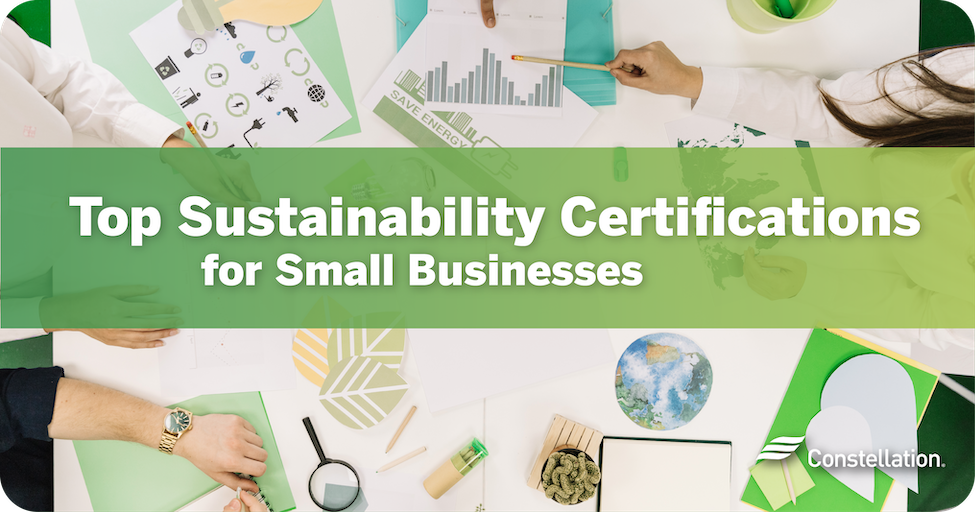 Top sustainability certifications for small businesses.
