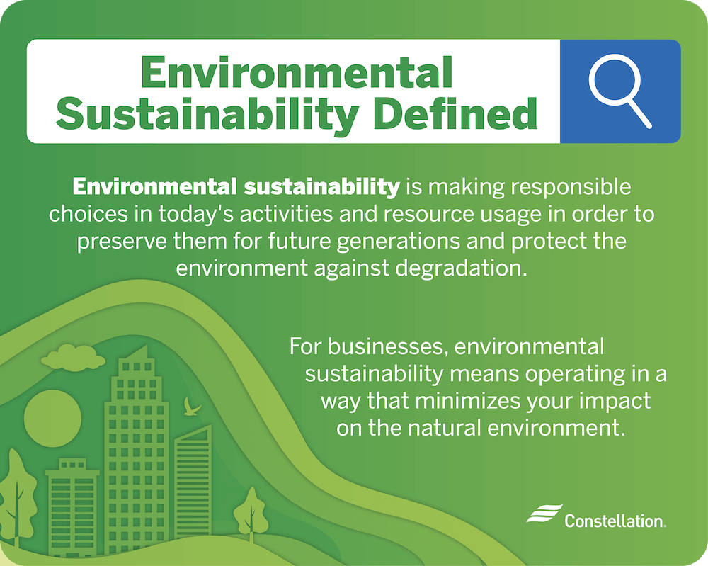Environmental sustainability definition.